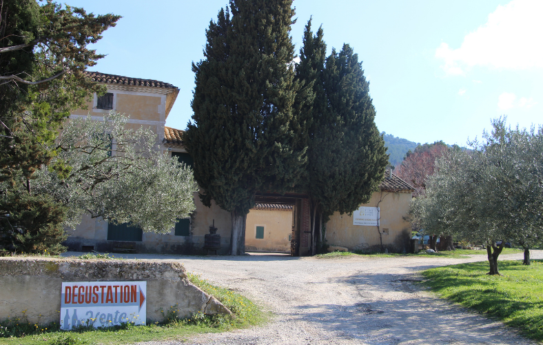 Domaine La Font de Notre Dame