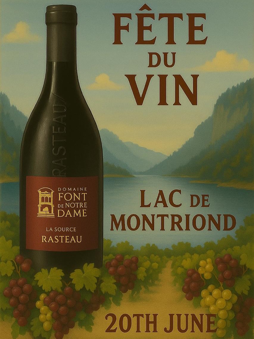 affiche du salon du vin de montriond revisitée par le domaine, un lac avec une bouteille de vin